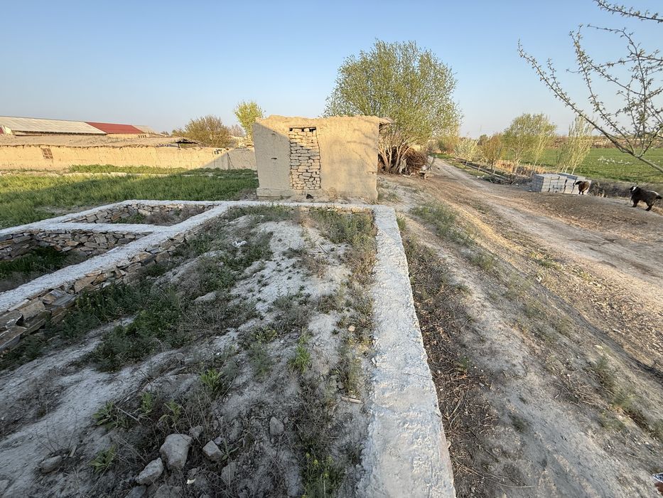 Navbahor tumanida yer joy uchaskasi sotiladi