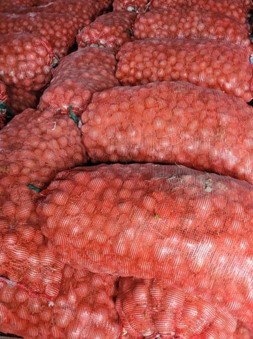 Стардаст Белый лук