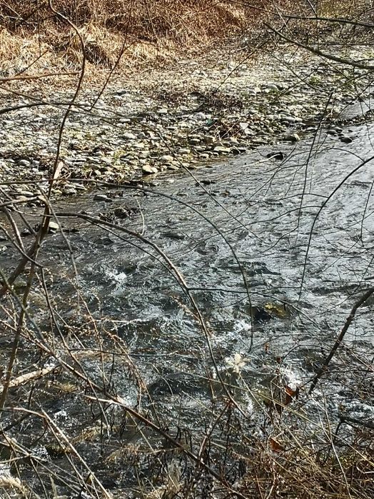 Vand Teren pretabil Cabană în Orăștioara - Costești.