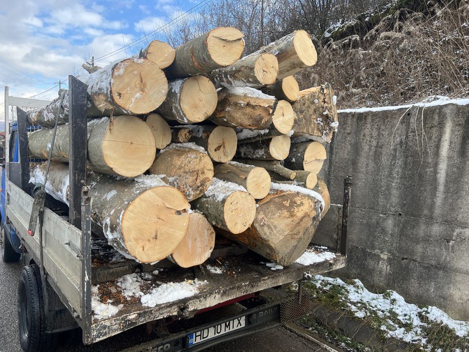 Lemn de foc Fag 3.6 cub