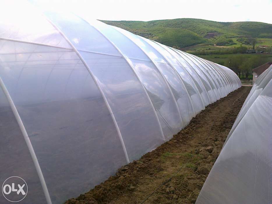 solarii pt legume fructe