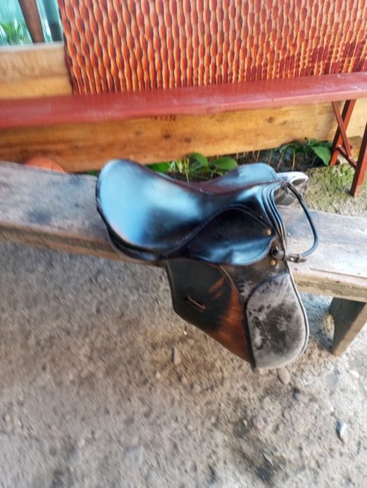 Sașa de călărie adusa recent din Germania