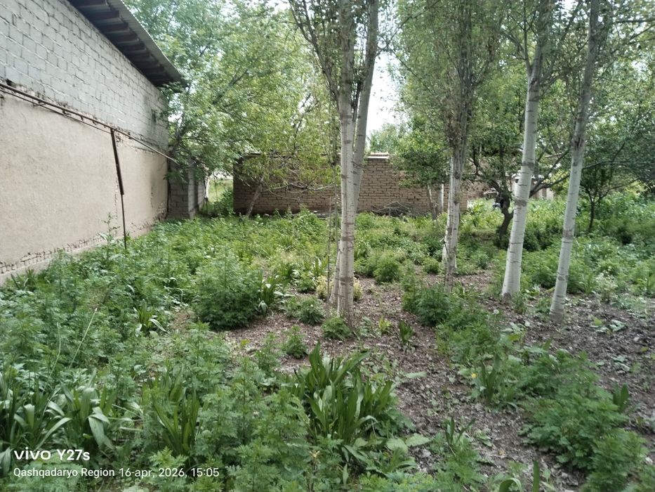 Quruq er maydoni sotiladi