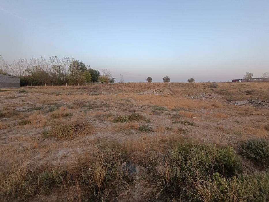 Участок, теспе бизнес