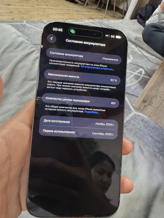 16 PRO MAX 256 GB