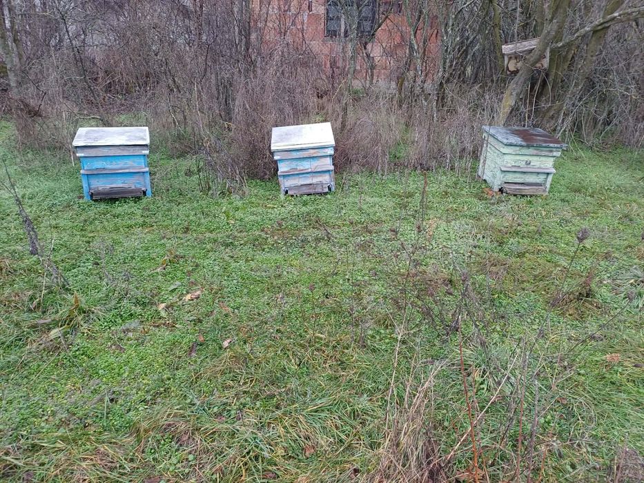 Употребявани кошери