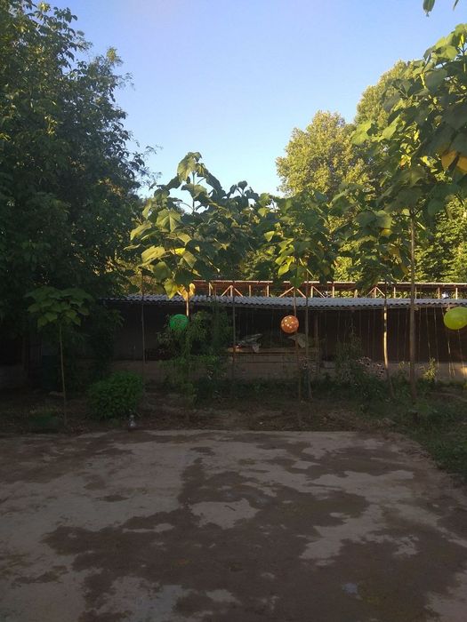 Продажа дачного участка возле парка Янги Узбекистан, Янги базор