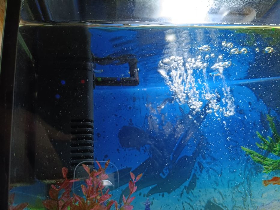 Продам аквариум 20л