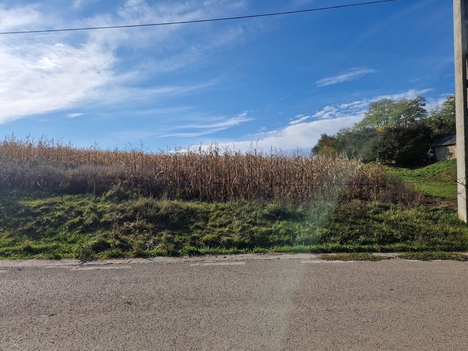 Terenuri de vânzare