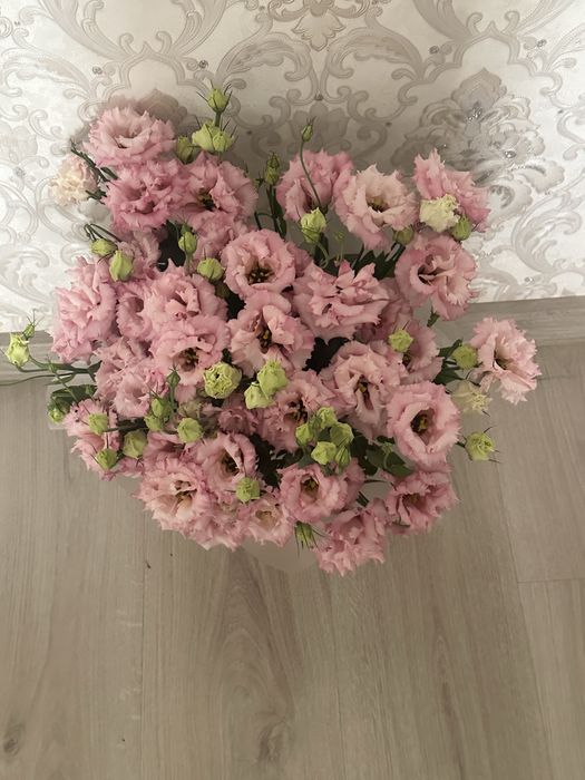 Живые цветы красивые