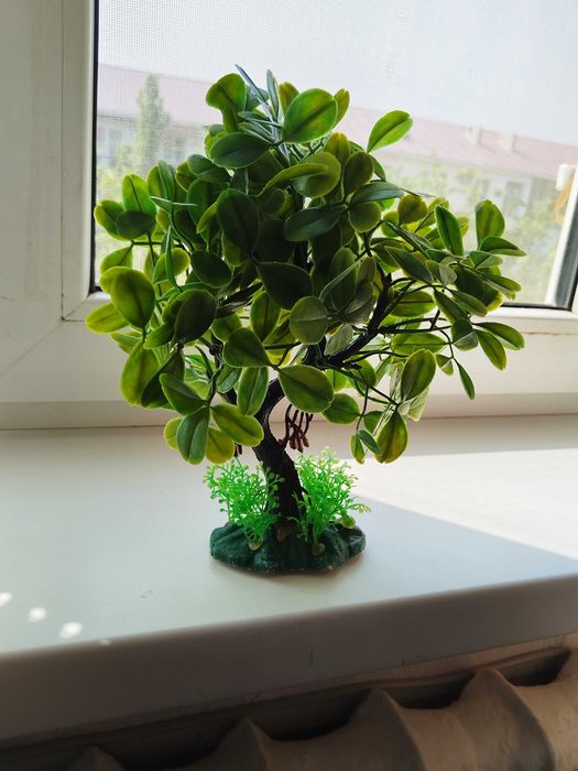 Растения искусственные