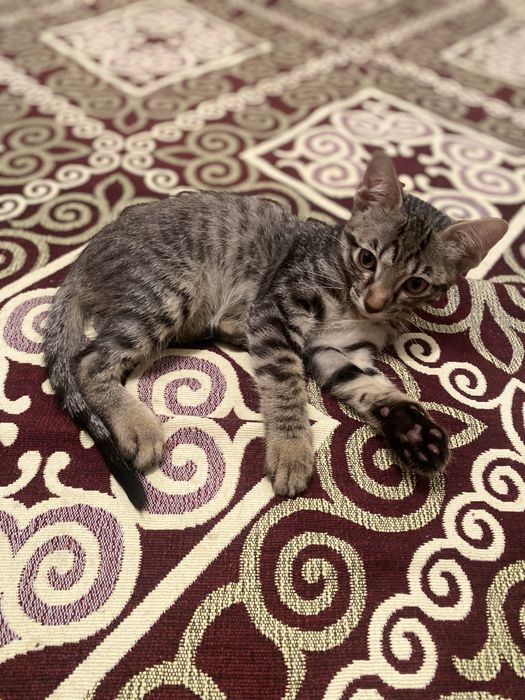 Менің әйелім орыс порно онлайн жіберілді