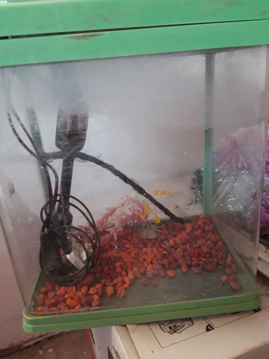 Продам аквариум с фильтром