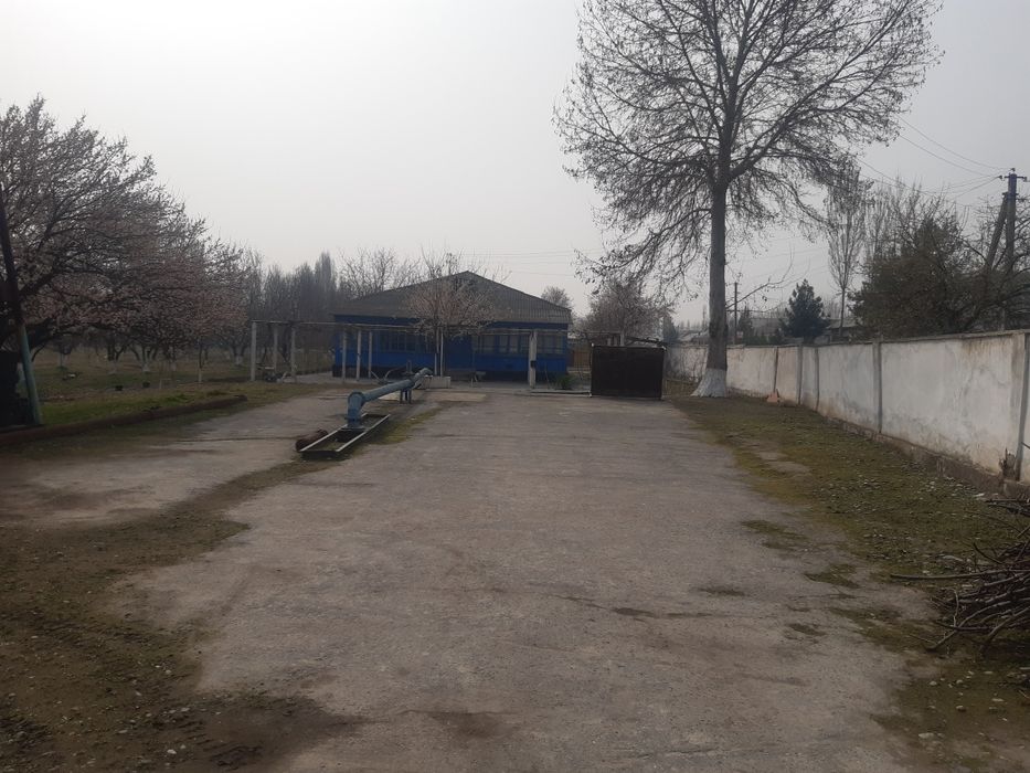 Ijaraga joy beriladi