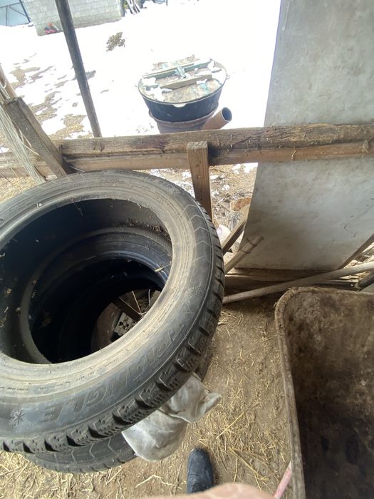 205/55/16 3 штуки