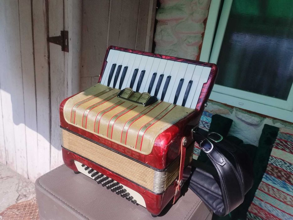 Acordeon Hohner Student 48