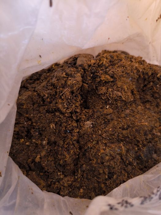 Propolis brut de calitatea , pastura