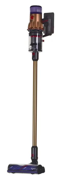 Dyson v12 detect slim absolute