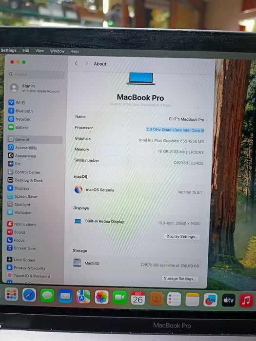 MacBook Pro (13 - inch,-2018) + Magic Mouse 2