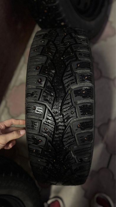 Болоны и диски колпоки