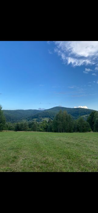 Teren de vanzare Sucevita