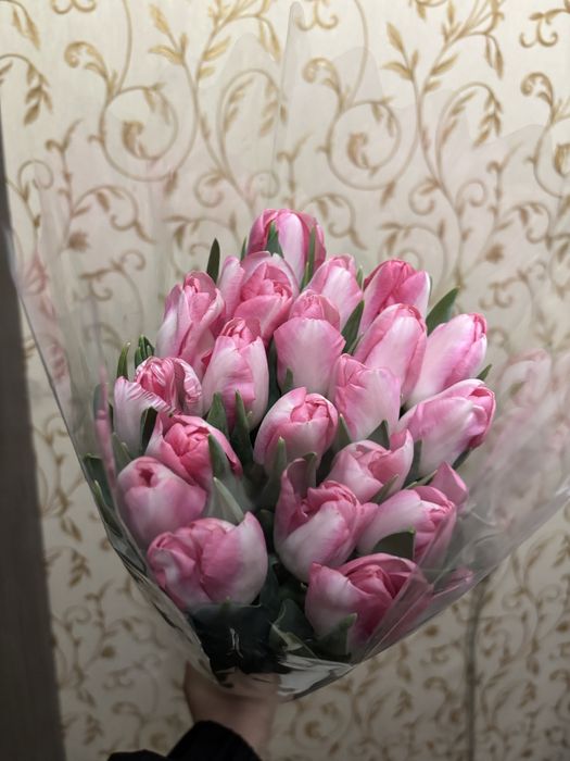 Тюльпаны 1 шт 690тг