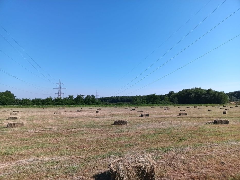 BALOȚI LUCERNĂ dreptunghiulari și rotunzi
