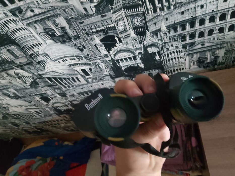 Бинокль Bushnell 8x40