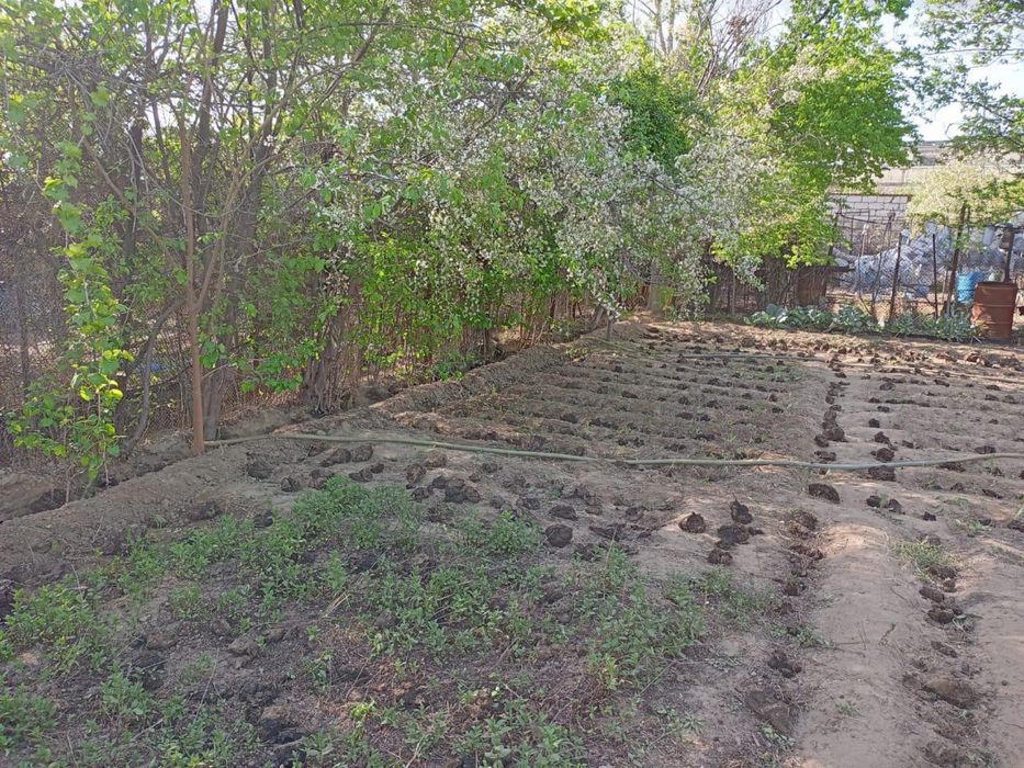 Продам срочно Огород СОТ Оазис в черте города.