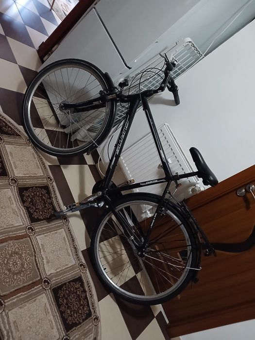 Bicicleta Curtis