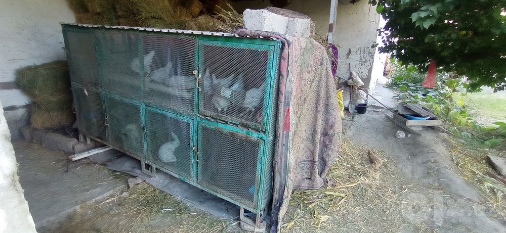Kattak sotiladi temirlik sifati zoʻr