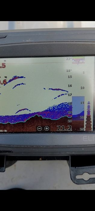 Sonare lowrance ti 5 digital
