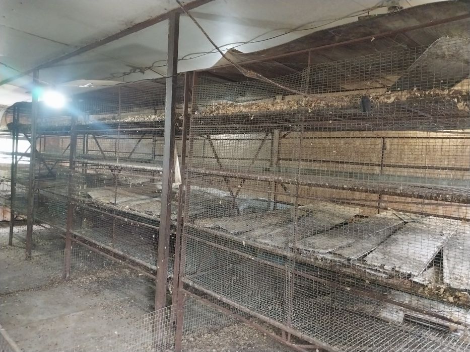 Клетки для содержания цыплят,утят,гусят,индюшат