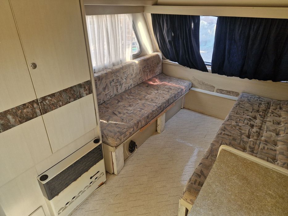 Rulota Beyerland inmatriculata Ro