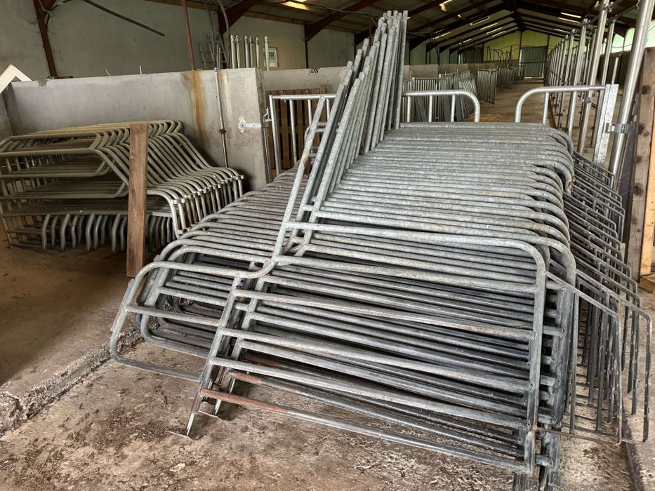 Panouri Boxe zincate  animale scroafe porci vitei zincate