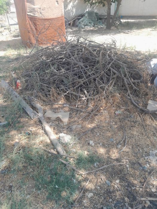 Тандир утин бор .