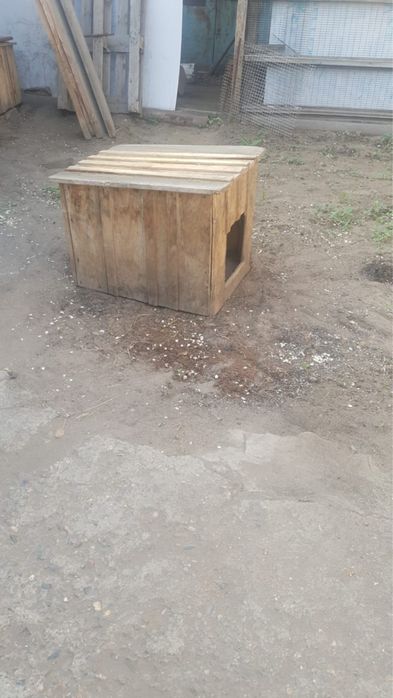 Будка для собаки