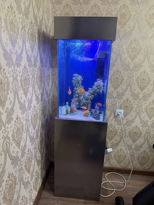 Akvarium 112Litrli