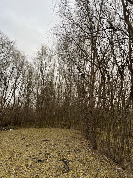 Casa din caramida de vanzare cu teren