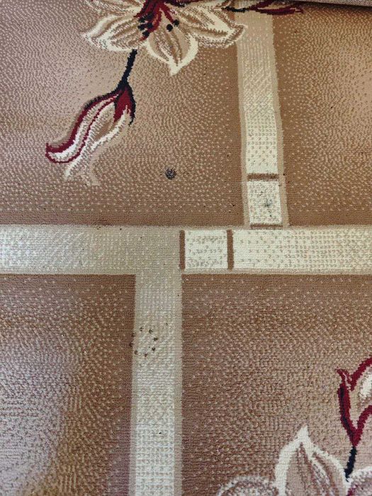 Продается ковер Б/У 2.5х4 метра