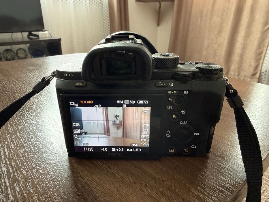 Sony a7s2 + Sony 24-105 f4 oss