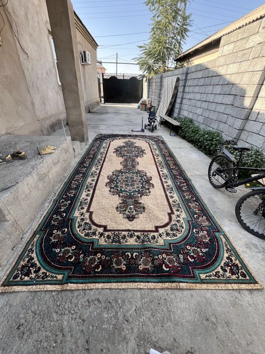 Коверь домашний.