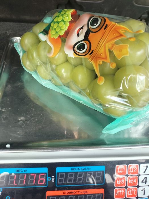 Шайн Мускат . Виноград зелёный