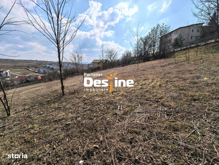 3000 mp teren intravilan, parcelat in 3 bucati Valea Lupului