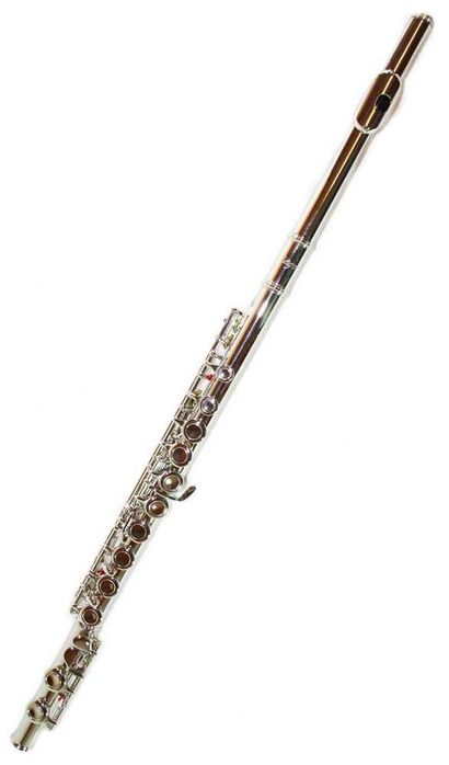 Set Flaut Parrot 6456 Silver Flute C