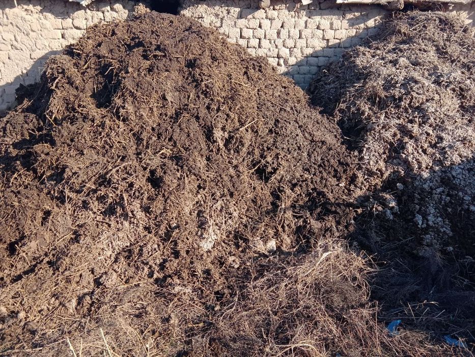 Арзон  нархда Мол гунги (нури) сотилади