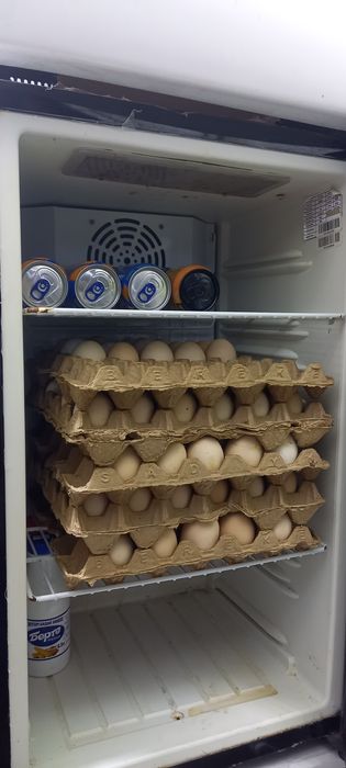 Мини холодильник бу