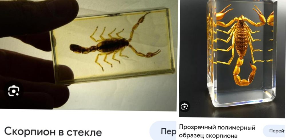 Брелок Скорпион настоящий.Светится в темноте. Новые.Смотрите фото.