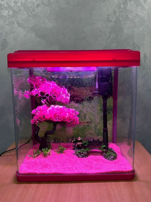 аквариумы новые сборе