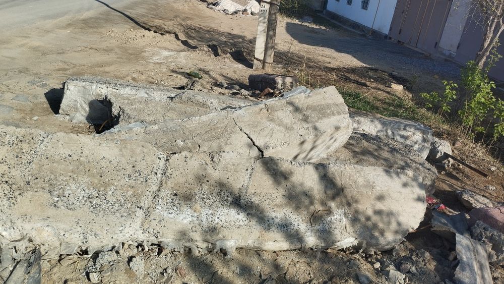 Битон жемтікке жарайды